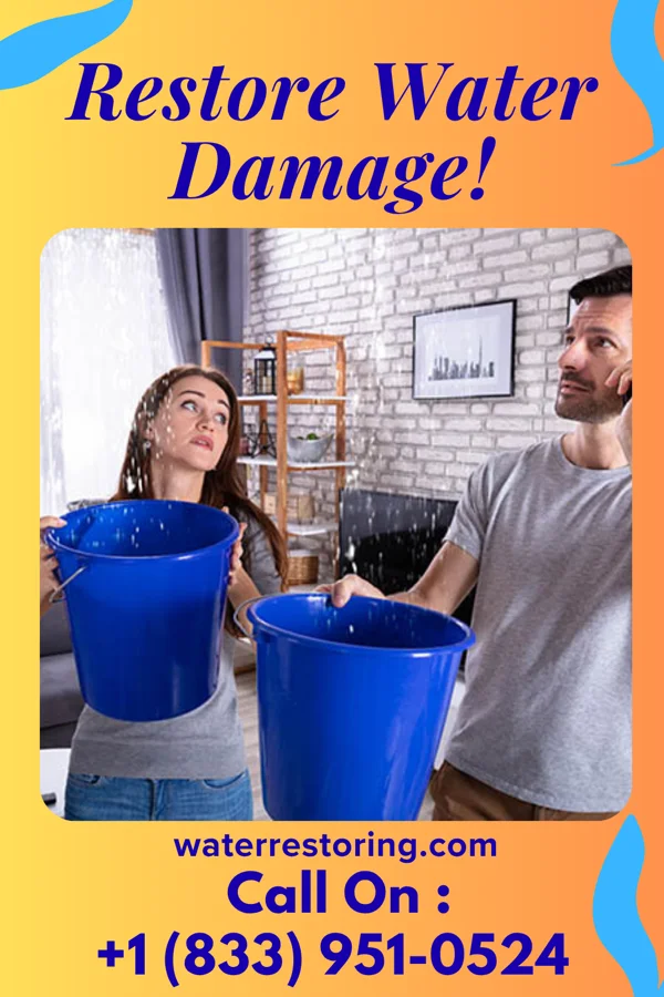 water restoration Coastal Sewage Cleanup Masters Arlington
